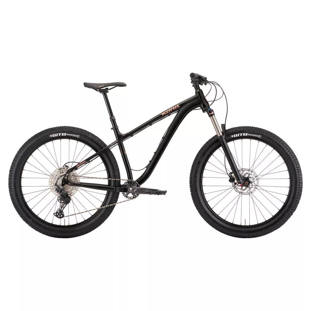 2022 Kona Big Honzo