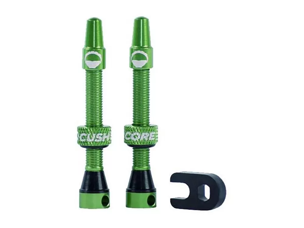 Cush Core Valves