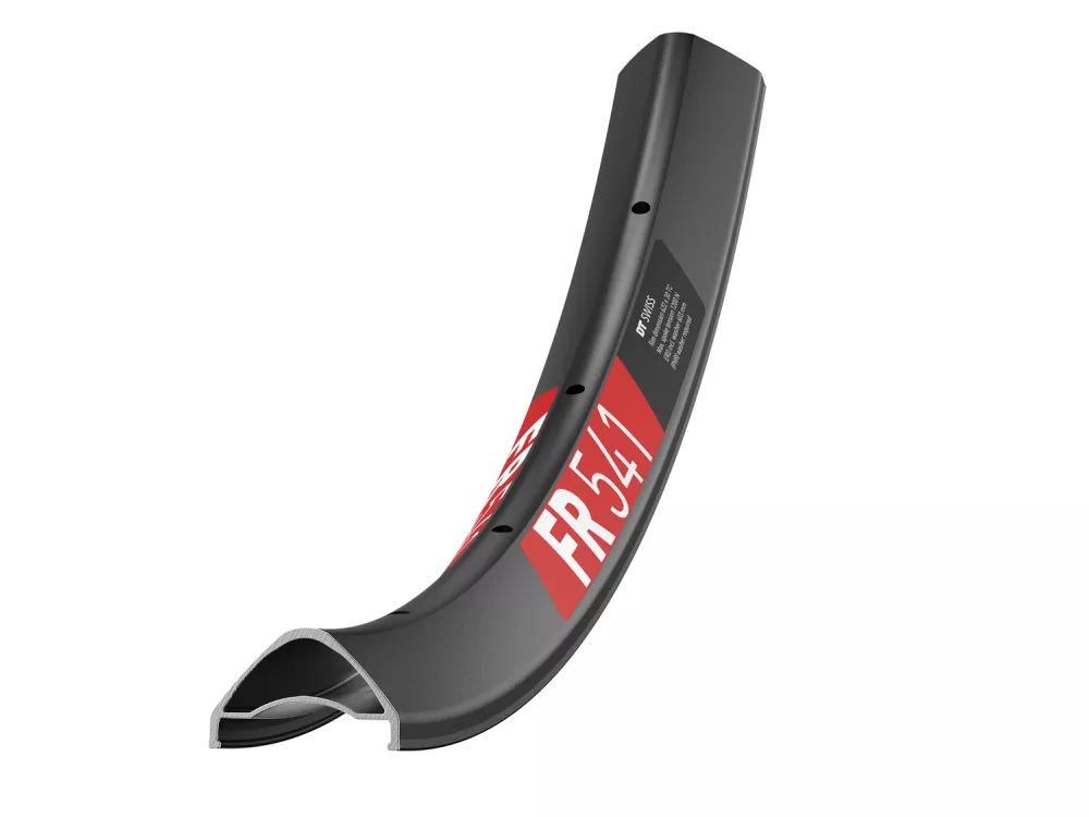 DT Swiss FR 541 Rims