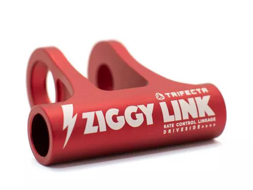 Forbidden Ziggy Link