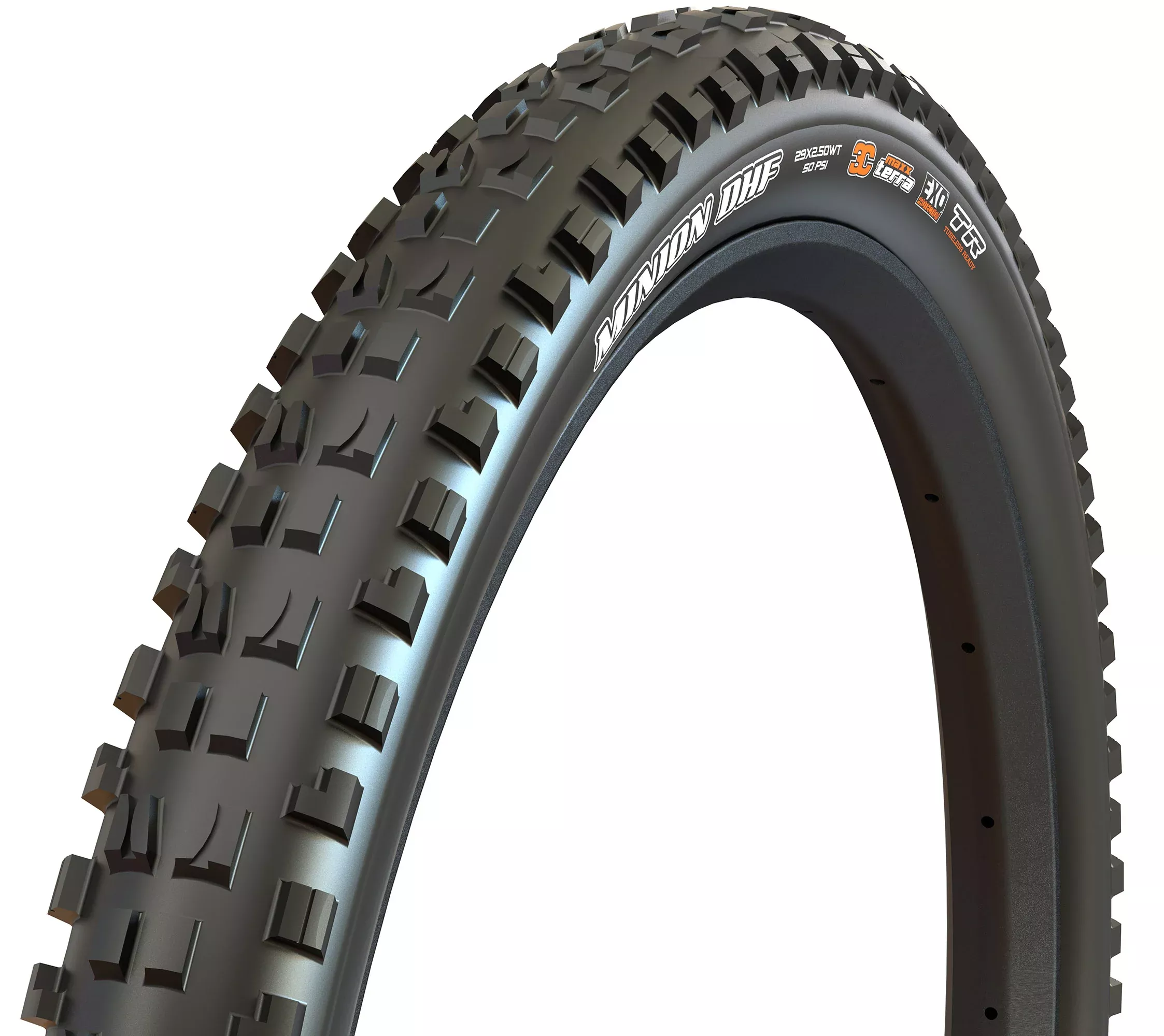 Maxxis DHF 24