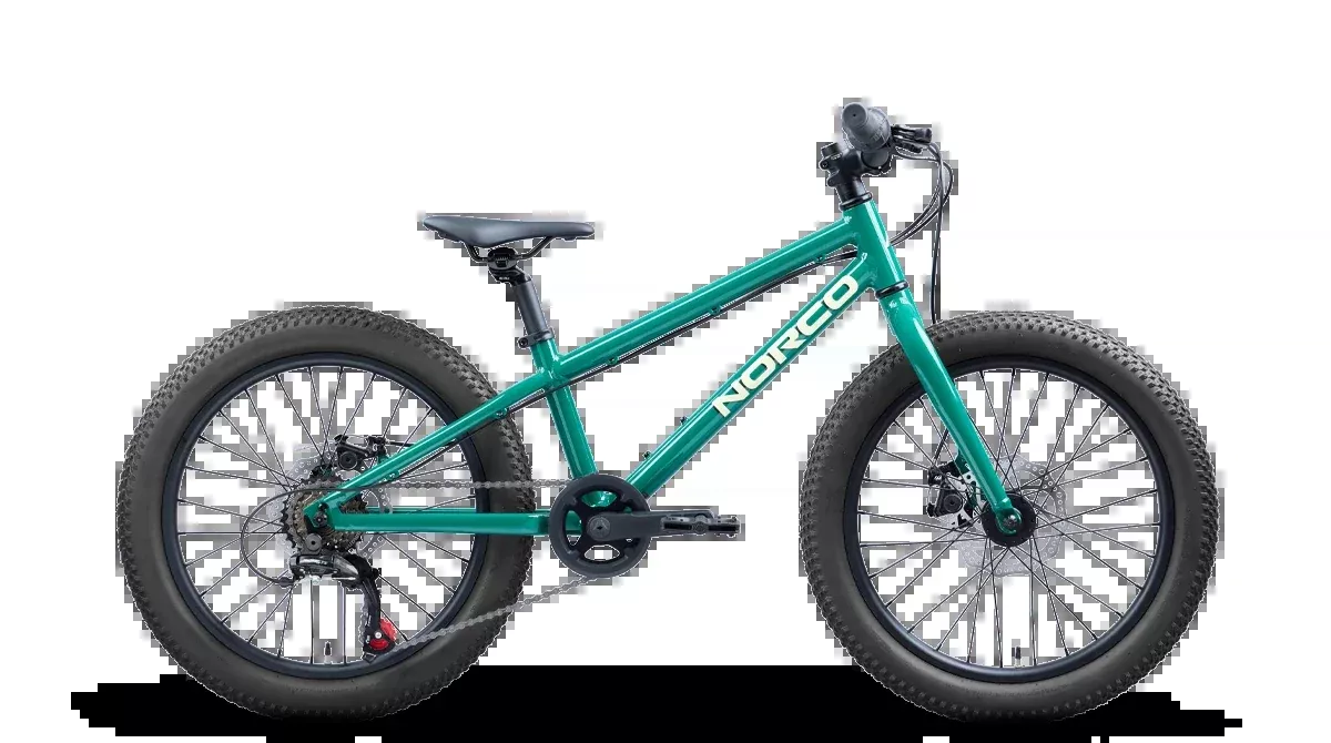 Norco Storm 20 NL