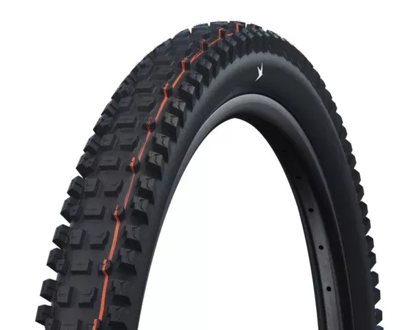 Schwalbe Albert 29
