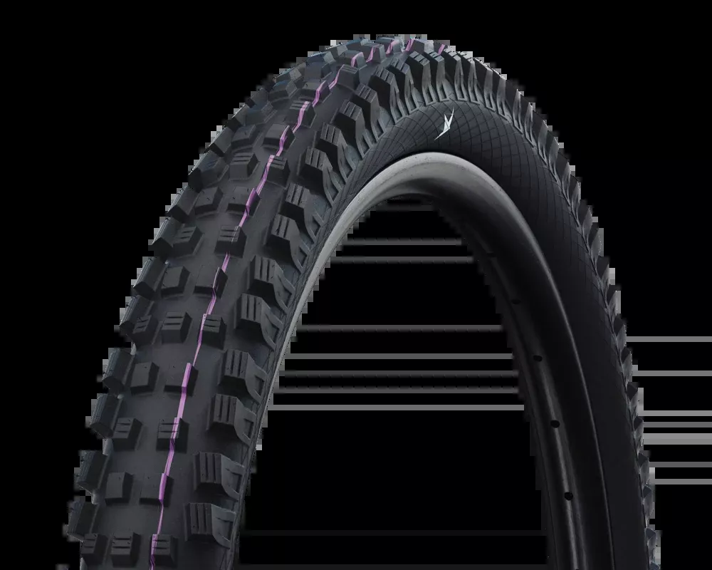 Schwalbe Magic Mary 29