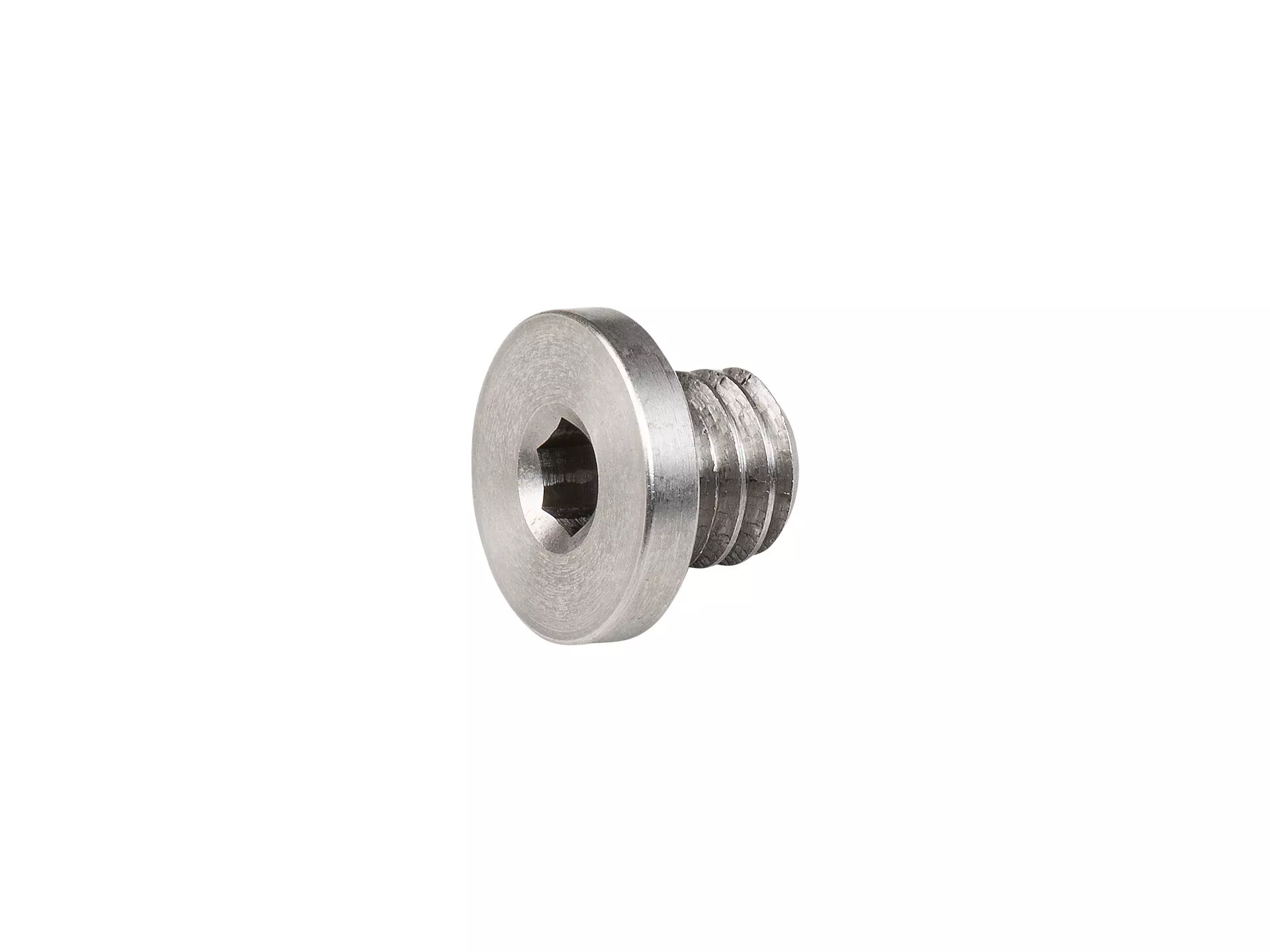 Trek Derailleur Hanger Button Head Bolt
