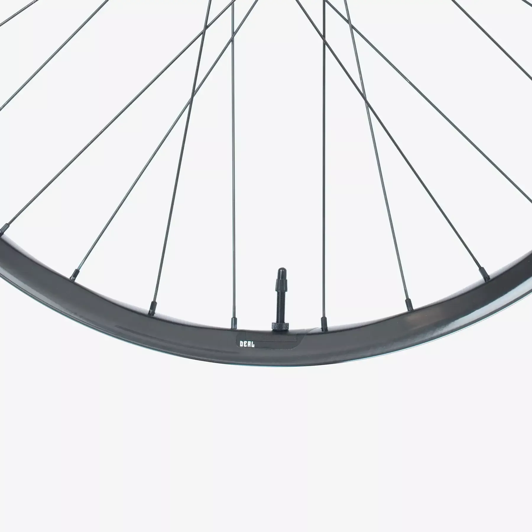 We Are One Deal DH Rims (29mm)