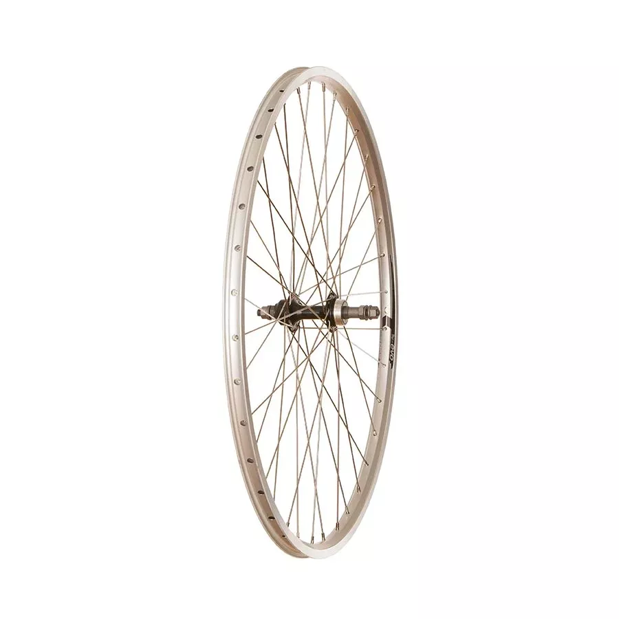 Wheel Shop, Evo Tour 19, Wheel, Rear, 27'' / 630, Holes: 36, Bolt-on, 130mm, Rim, Freewheel