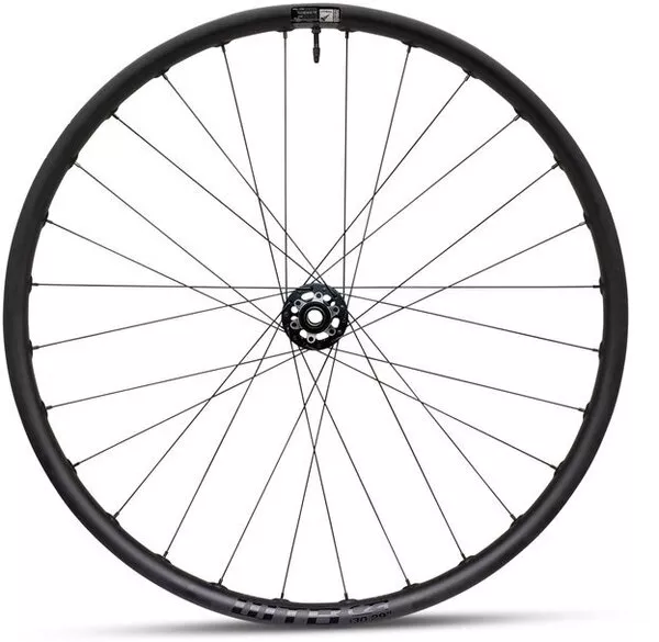 WTB CZR i30 29-inch Rear